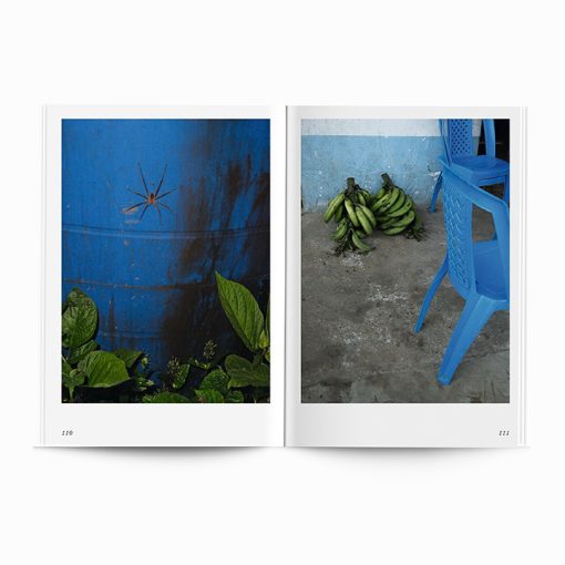 After Nature | Ulrike Crespo Prize | Isadora Romero | Notes On How To Build A Forest – Bild 10