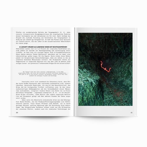 After Nature | Ulrike Crespo Prize | Isadora Romero | Notes On How To Build A Forest – Bild 9