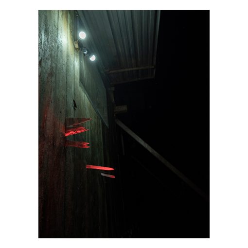 After Nature | Ulrike Crespo Prize | Isadora Romero - Image 3