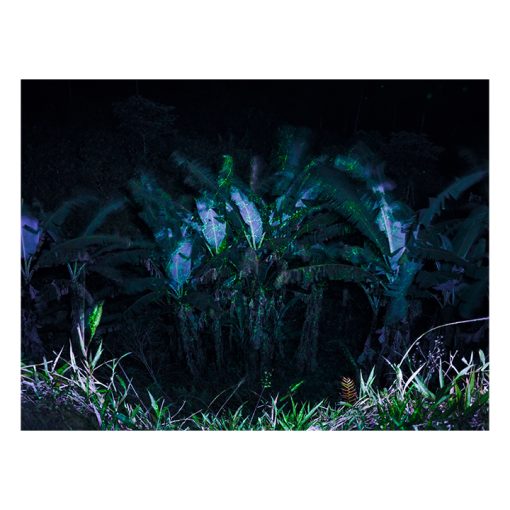 After Nature | Ulrike Crespo Prize | Isadora Romero - Image 4