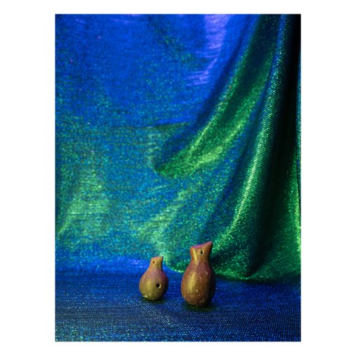 After Nature | Ulrike Crespo Prize | Isadora Romero - Image 6