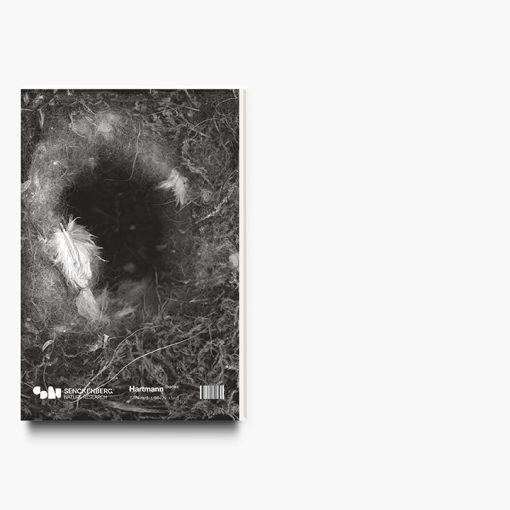 Karen Weinert | Dwellings III - Image 12