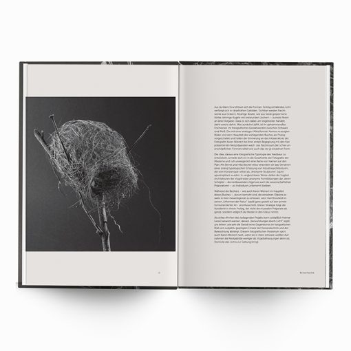 Karen Weinert | Dwellings III - Image 3
