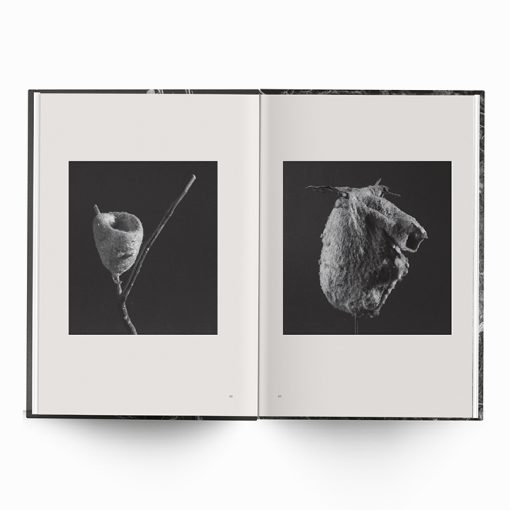Karen Weinert | Dwellings III - Image 4