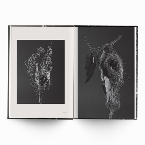 Karen Weinert | Dwellings III - Image 5