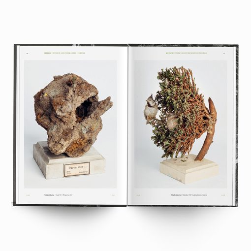 Karen Weinert | Dwellings III - Image 7