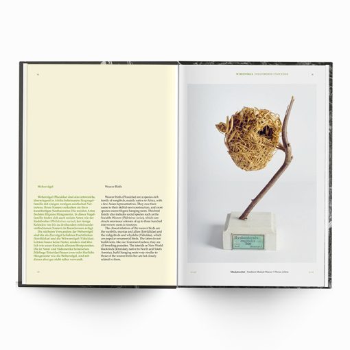 Karen Weinert | Dwellings III - Image 8