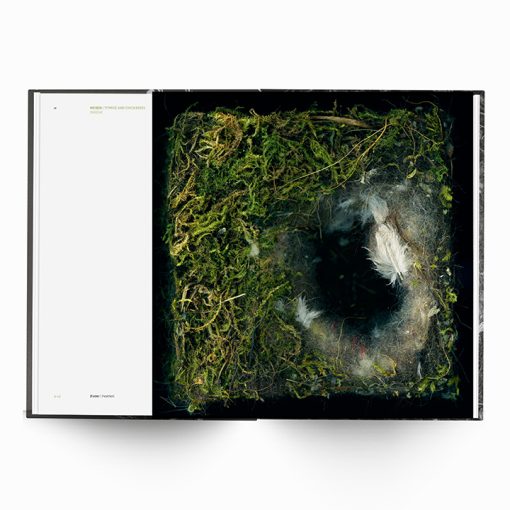 Karen Weinert | Dwellings III - Image 9