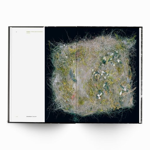 Karen Weinert | Dwellings III - Image 10