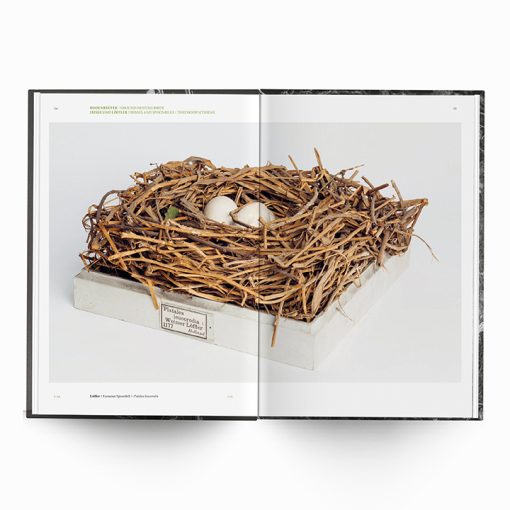 Karen Weinert | Dwellings III - Image 11
