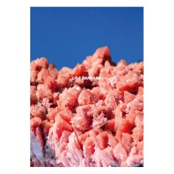 After Nature | Ulrike Crespo Prize | Lisa Barnard