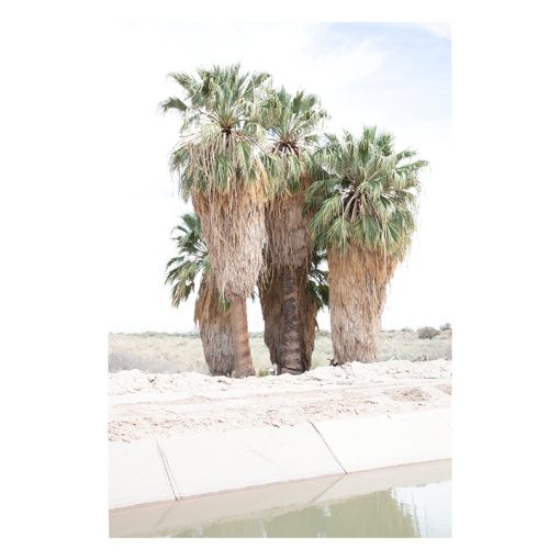 After Nature | Ulrike Crespo Prize | Lisa Barnard - Image 4