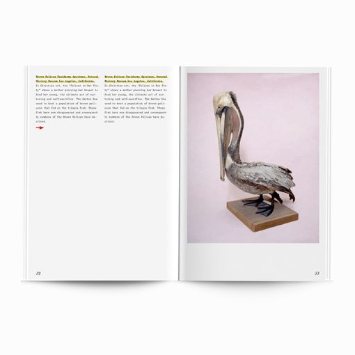 After Nature | Ulrike Crespo Prize | Lisa Barnard | You Only Look Once - Image 4