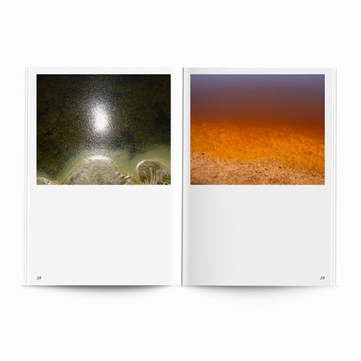 After Nature | Ulrike Crespo Prize | Lisa Barnard | You Only Look Once - Image 5