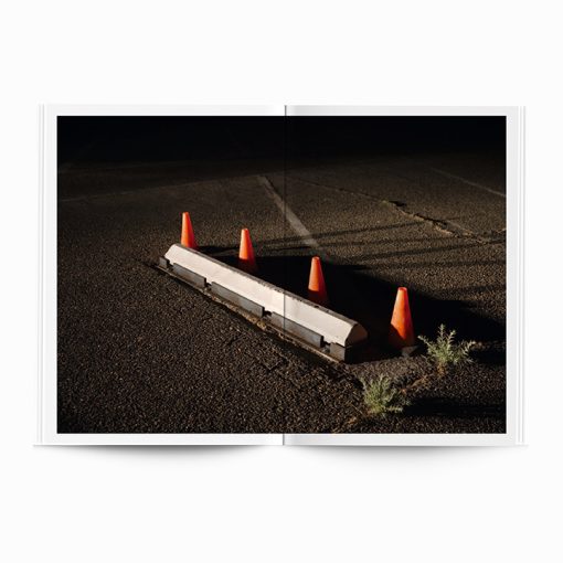 After Nature | Ulrike Crespo Prize | Lisa Barnard | You Only Look Once - Image 7