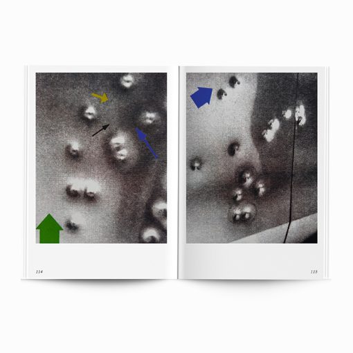 After Nature | Ulrike Crespo Prize | Lisa Barnard | You Only Look Once - Image 9