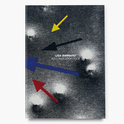 After Nature | Ulrike Crespo Prize | Lisa Barnard | You Only Look Once