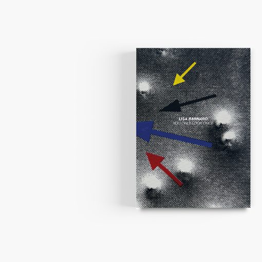 After Nature | Ulrike Crespo Prize | Lisa Barnard | You Only Look Once - Image 2