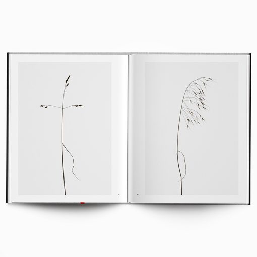 Hans-Christian Schink | Am Weg - Image 9