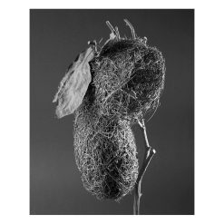 Karen Weinert | Edition Dwellings III