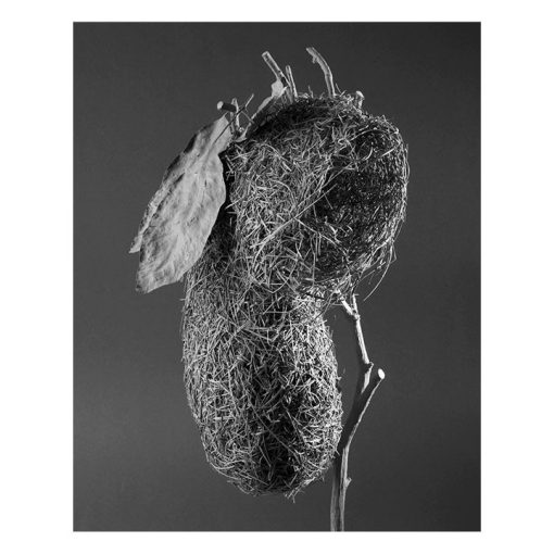 Karen Weinert | Edition Dwellings III