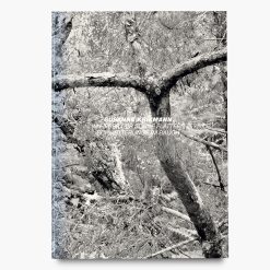 After Nature | Ulrike Crespo Award | Susanne Kriemann