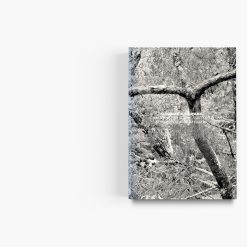 Alternative view of After Nature | Ulrike Crespo Award | Susanne Kriemann